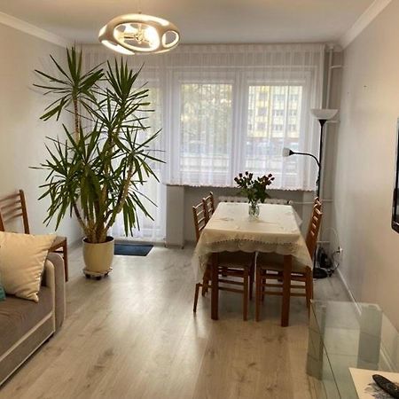 Apartament Przy Katedrze Gorzów Wielkopolski Exterior foto